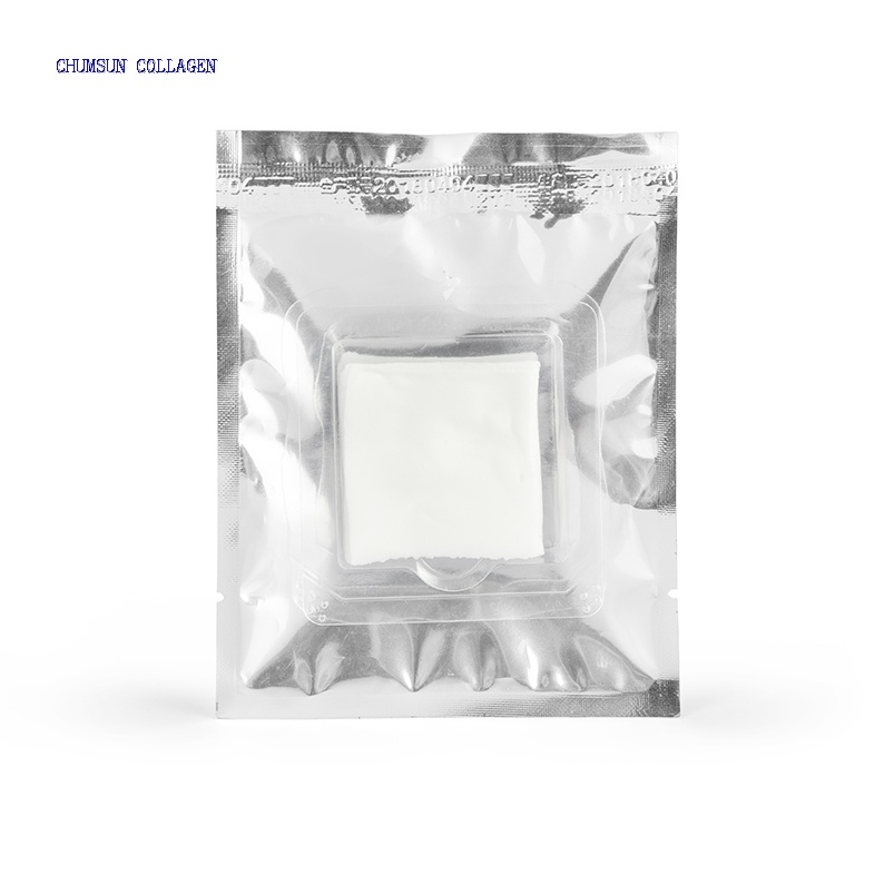 Chumsun Atelocollagen Sponge Type I 5A07