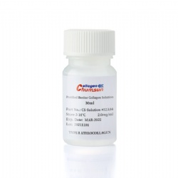 Chumsun Atelocollagen Solution Type I 30ml  #52A04