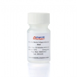 Chumsun Atelocollagen Solution Type I Bovine 30ml  #83N13